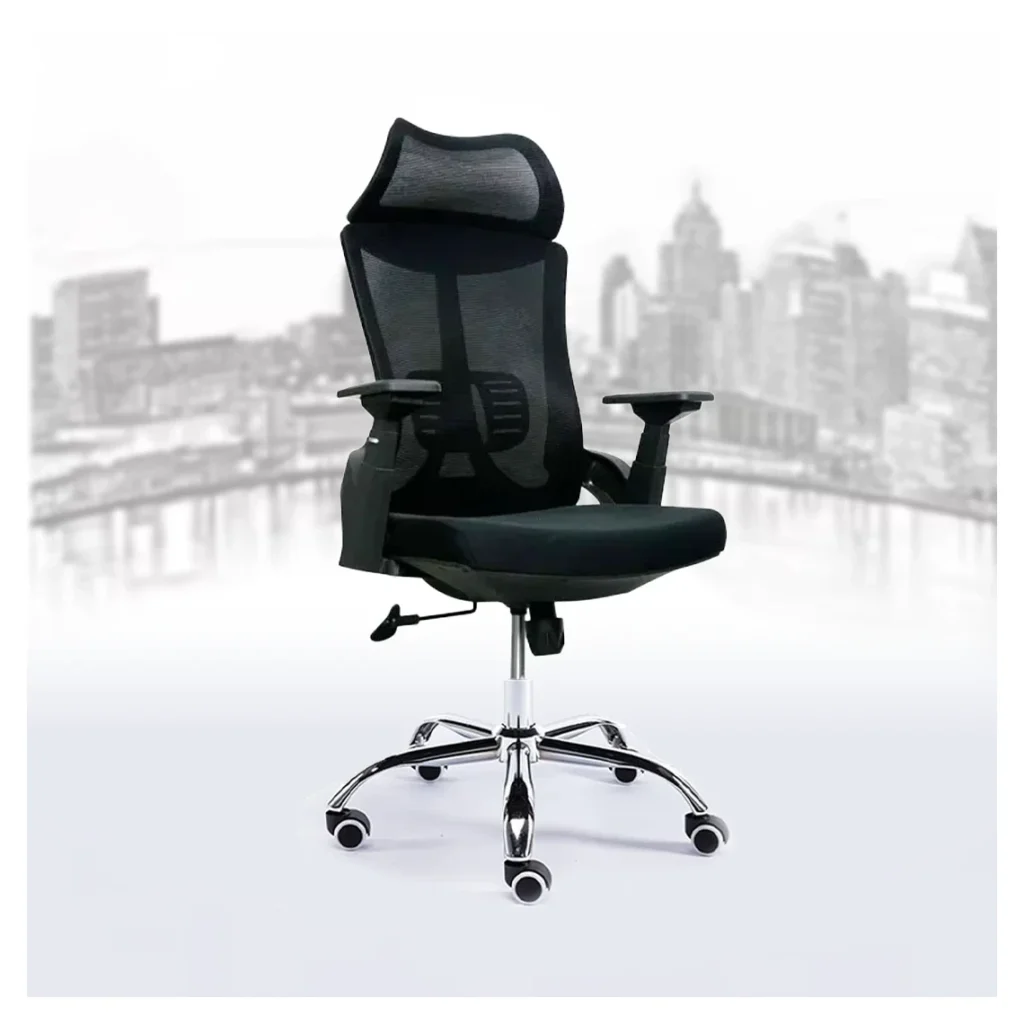 Ergonomic Chairs